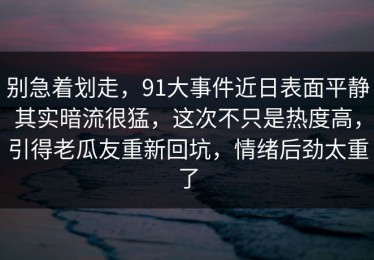 别急着划走，91大事件近日表面平静其实暗流很猛，这次不只是热度高，引得老瓜友重新回坑，情绪后劲太重了