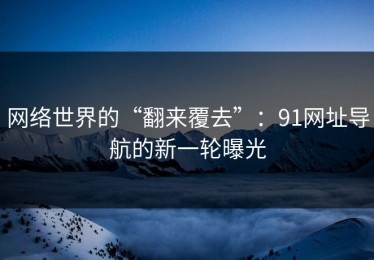 网络世界的“翻来覆去”：91网址导航的新一轮曝光