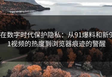 在数字时代保护隐私：从91爆料和新91视频的热度到浏览器痕迹的警醒