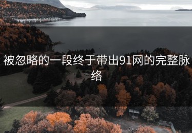 被忽略的一段终于带出91网的完整脉络