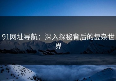 91网址导航：深入探秘背后的复杂世界