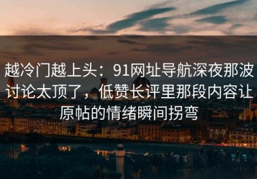 越冷门越上头：91网址导航深夜那波讨论太顶了，低赞长评里那段内容让原帖的情绪瞬间拐弯