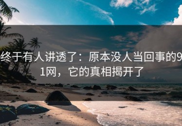 终于有人讲透了：原本没人当回事的91网，它的真相揭开了