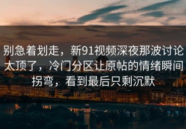 别急着划走，新91视频深夜那波讨论太顶了，冷门分区让原帖的情绪瞬间拐弯，看到最后只剩沉默