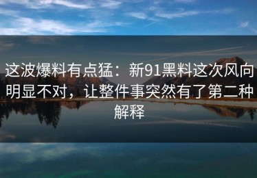 这波爆料有点猛：新91黑料这次风向明显不对，让整件事突然有了第二种解释