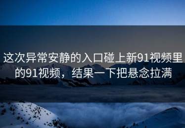 这次异常安静的入口碰上新91视频里的91视频，结果一下把悬念拉满