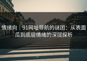 情绪向｜91网址导航的谜团：从表面瓜到底层情绪的深层探析