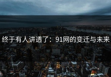 终于有人讲透了：91网的变迁与未来