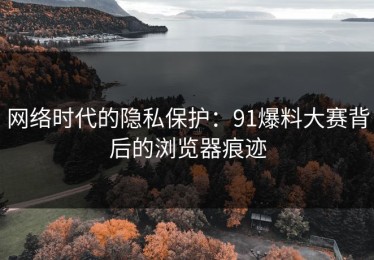 网络时代的隐私保护：91爆料大赛背后的浏览器痕迹