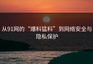 从91网的“爆料猛料”到网络安全与隐私保护
