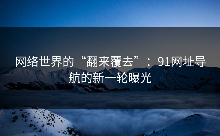 网络世界的“翻来覆去”:91网址导航的新一轮曝光 网络世界的“翻来覆去”:91网址导航的新一轮曝光