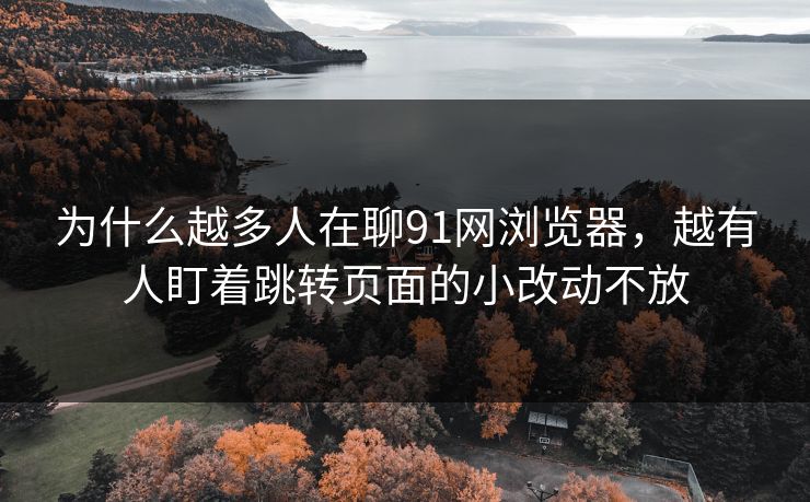 为什么越多人在聊91网浏览器，越有人盯着跳转页面的小改动不放