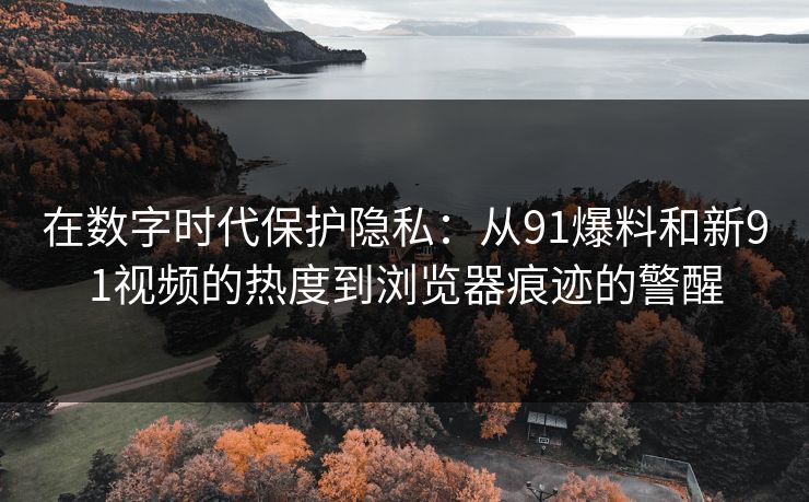 在数字时代保护隐私：从91爆料和新91视频的热度到浏览器痕迹的警醒