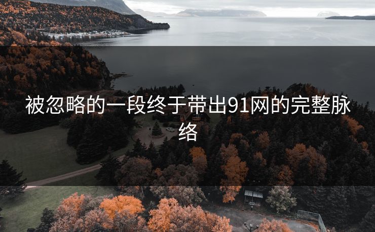 被忽略的一段终于带出91网的完整脉络