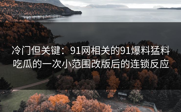 冷门但关键：91网相关的91爆料猛料吃瓜的一次小范围改版后的连锁反应
