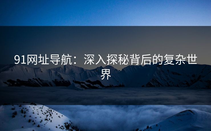 91网址导航：深入探秘背后的复杂世界