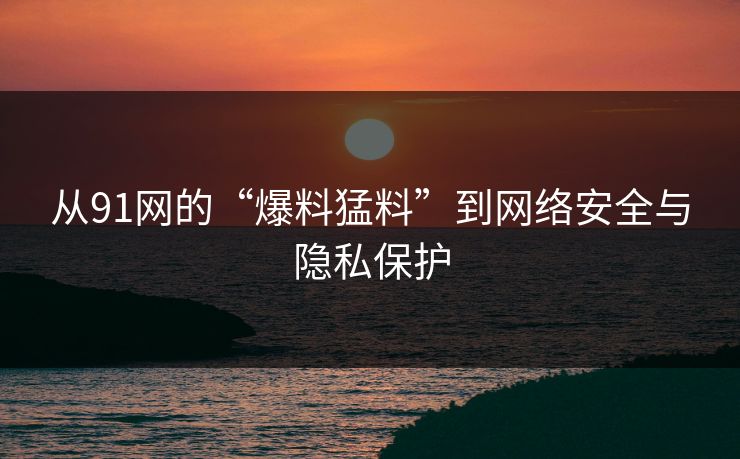 从91网的“爆料猛料”到网络安全与隐私保护