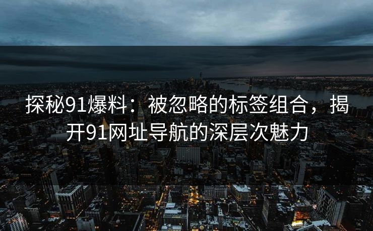 探秘91爆料：被忽略的标签组合，揭开91网址导航的深层次魅力