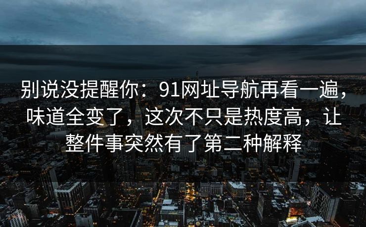 别说没提醒你：91网址导航再看一遍，味道全变了，这次不只是热度高，让整件事突然有了第二种解释