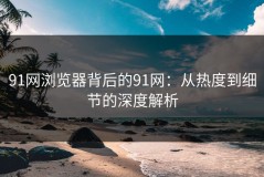 91网浏览器背后的91网：从热度到细节的深度解析
