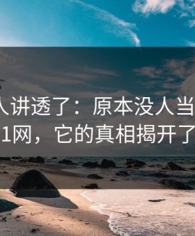 终于有人讲透了：原本没人当回事的91网，它的真相揭开了