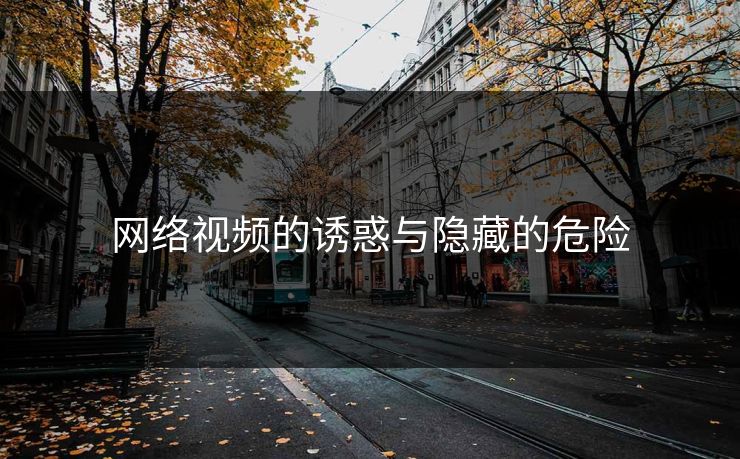 网络视频的诱惑与隐藏的危险