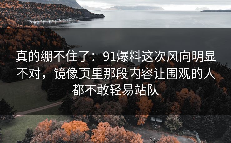 真的绷不住了：91爆料这次风向明显不对，镜像页里那段内容让围观的人都不敢轻易站队