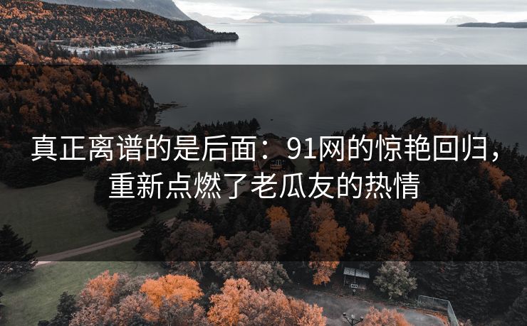 真正离谱的是后面：91网的惊艳回归，重新点燃了老瓜友的热情