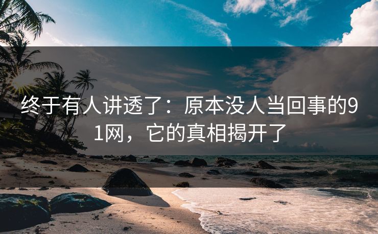 终于有人讲透了：原本没人当回事的91网，它的真相揭开了